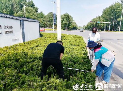 青州市園林綠化和環(huán)衛(wèi)中心 卡準(zhǔn)綠化施工精度尺，拉緊項(xiàng)目驗(yàn)收質(zhì)量繩——以高標(biāo)準(zhǔn)打造體育場地設(shè)施工程